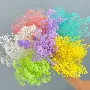 永生家居小清新满天星永生花