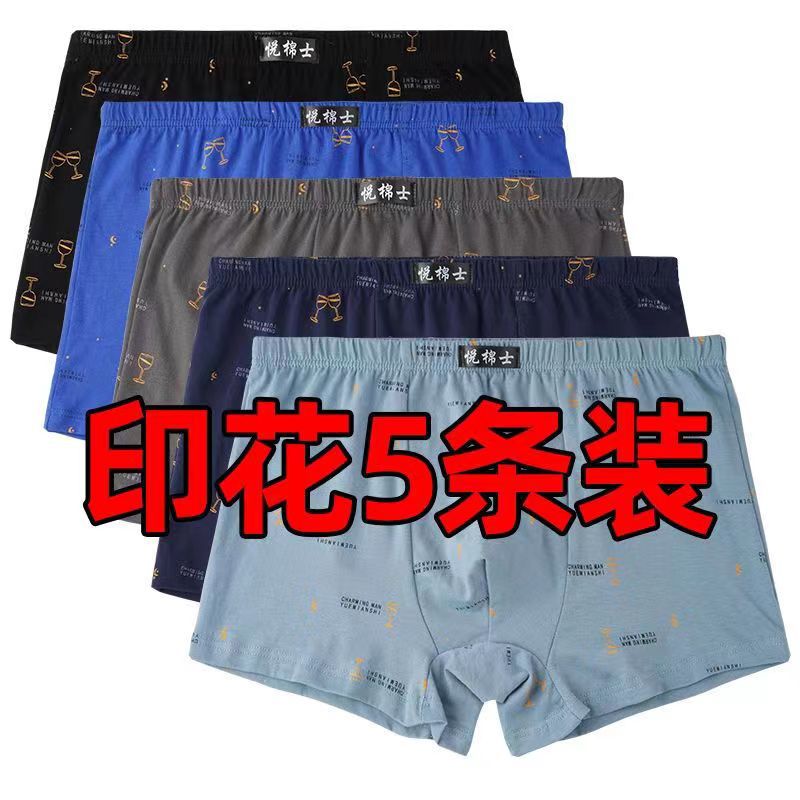 5 인쇄 다색