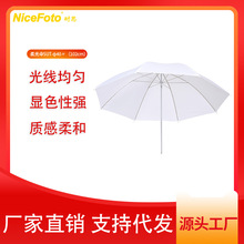 ��˼��ɫ���ɡֱ���������������������ữ��Ч��������