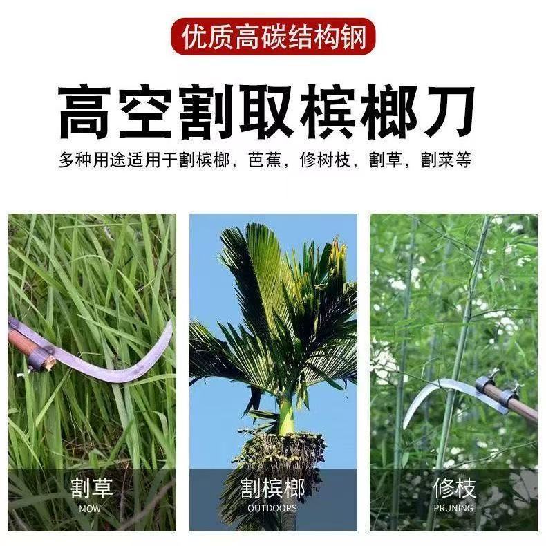 微信图片_202504180957503.jpg