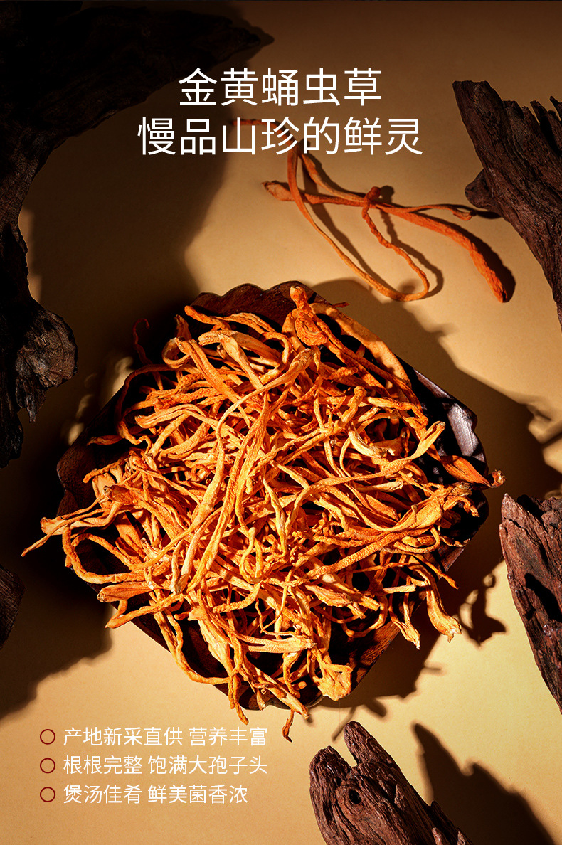 Dongfang Song Four-Herb Gift Box Xiaoman American Ginseng Black Reishi Goji Cordyceps 210g in use
