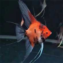 �tħ�������~��t�������~���~��t���^�p��ˮ�Ꭷ�~ħ�T˹��