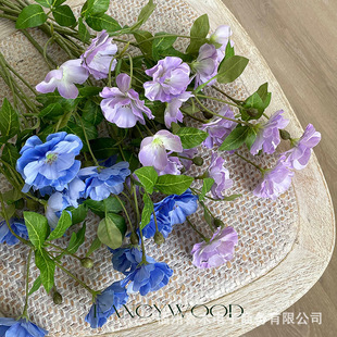 �������¶ɏ ������ĵ�� С�仨 �����������OӋ �Ҿӻ�ˇ ����