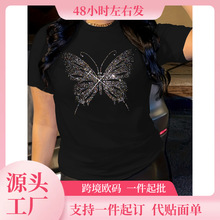 ���羳ŷ�롿Butterfly Graphic Print T-shirt, Short Sleeve Cr