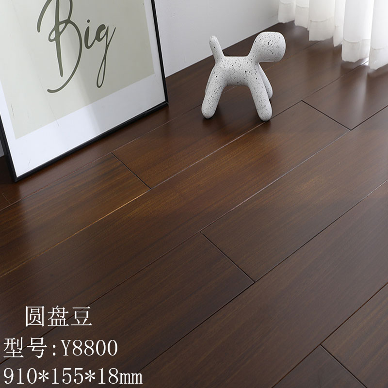 암갈색 원형콩 Y8800