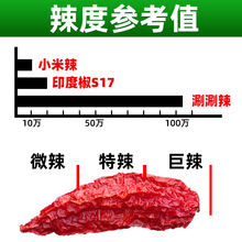 云南涮涮辣辣椒250g德宏椒超辣王爆巨辣特别干辣椒特辣变态辣