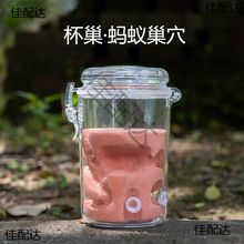 ��ʯ�ೲ����Λρ���~�ױ��������BСΛρρ��Λρ����