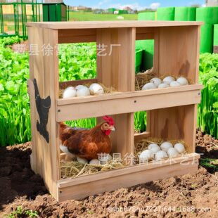 ľ�|С�u��B�䌍ľ�u����ĸ�u�C����r���u��B���u�\ĸ�u������