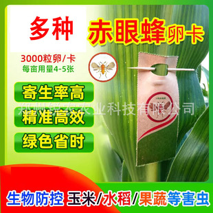 ���S���۷䵾����������ë�x�씳����ˮ���ɘ��ѿ�������ŷ���