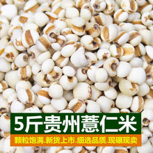 薏米大量批發貴州薏仁米新貨農家大紅豆赤豆五谷雜糧粗糧糧油大米