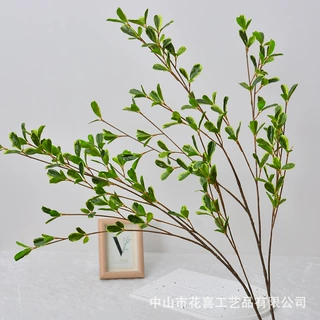 仿真千层浪家居装饰插花造景叶材小叶榕尤加利婚庆假花绿植摆件