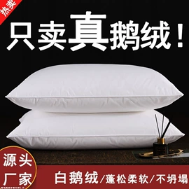 纤维枕;记忆枕;花草枕