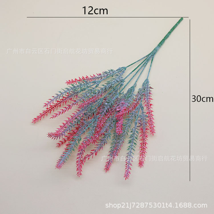 무리 라벤더 레드]