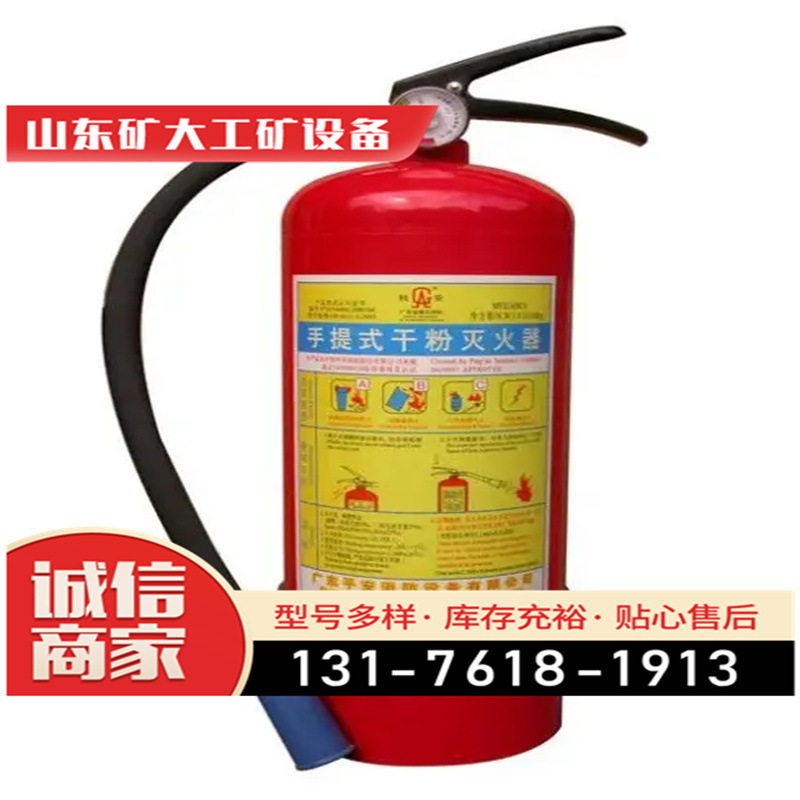 手提式干粉 灭火器 4kg 消防器材1 2 3 5 8 35其他消防设备