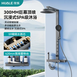 花洒套装;花洒淋浴配件;手持花洒