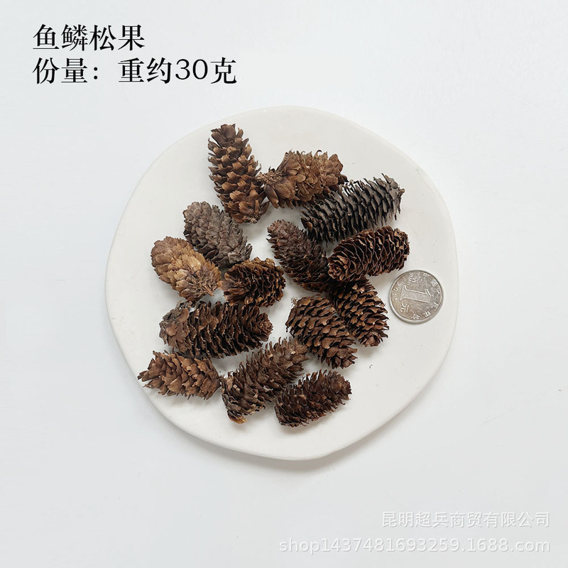【各种果实类干花】圣诞果实类装饰品干花干果香薰蜡烛DIY橡果精|undefined