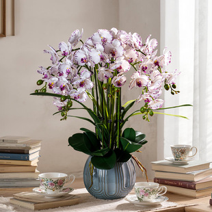 �߼��ָк����m���滨ˇ�廨�[���͏d�����b����ٻ����ϻ��[�O