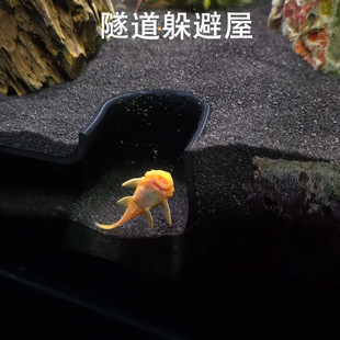 MI�ǃ��~�r��������~�r������^�p�~�B�r���~�����~�쾰�����