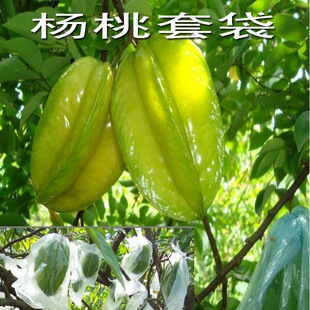 ���]�����ͷ�ʯ�������ˮ���״�ʯ�������״���������O����