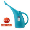 Capacious teapot, tools set, sprayer, suitable for import