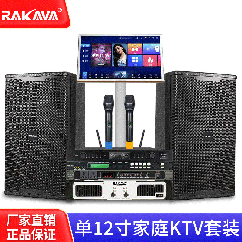 RAKAVA single de 12 pulgadas conjunto completo de barra de escenario para el hogar KTV canto familiar profesional inteligente máquina de karaoke