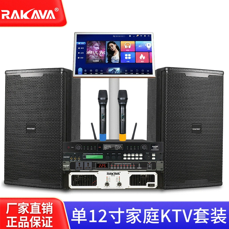 RAKAVA Single 12inch полный комплект домашнего сценического бара KTV домашнее пение профессиональная интеллектуальная караоке-машина караоке