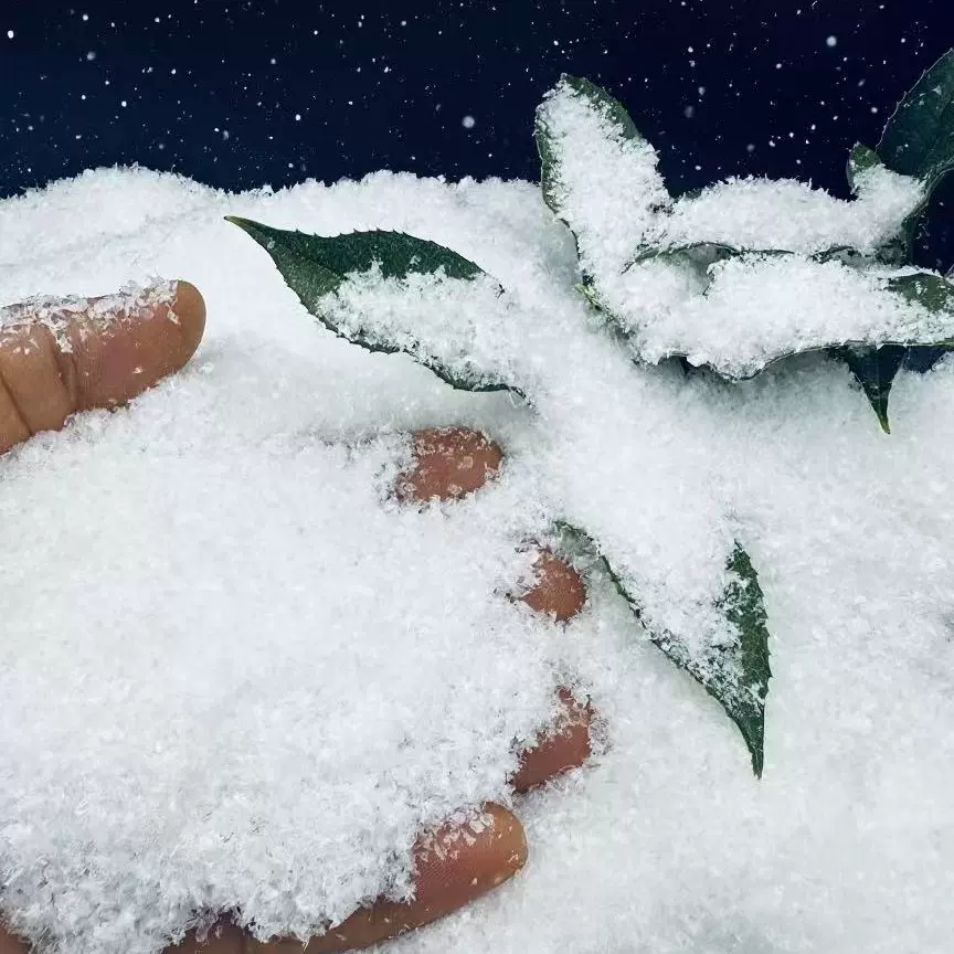 布置仿真雪kg雪圣诞雪造景雪道具雪花塑料雪飘雪粉干雪人造雪假雪