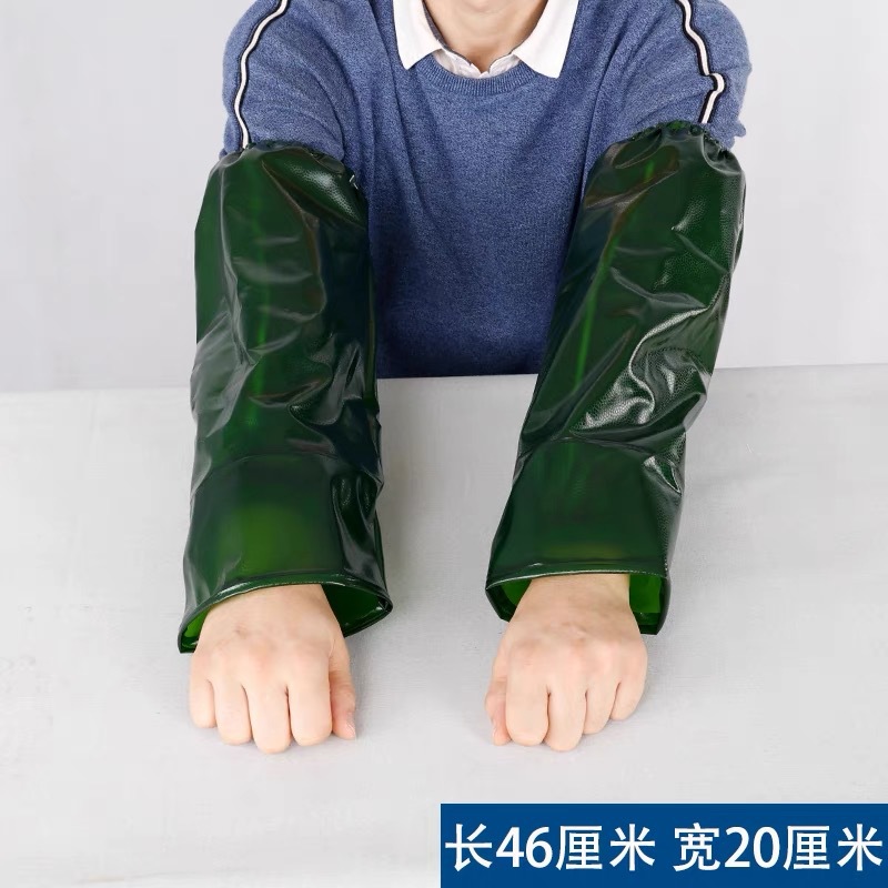 짙은 녹색 쇠고기 힘줄