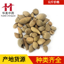 五倍子1000克华美中药 中药材批发现货供应 五倍子 量大从优