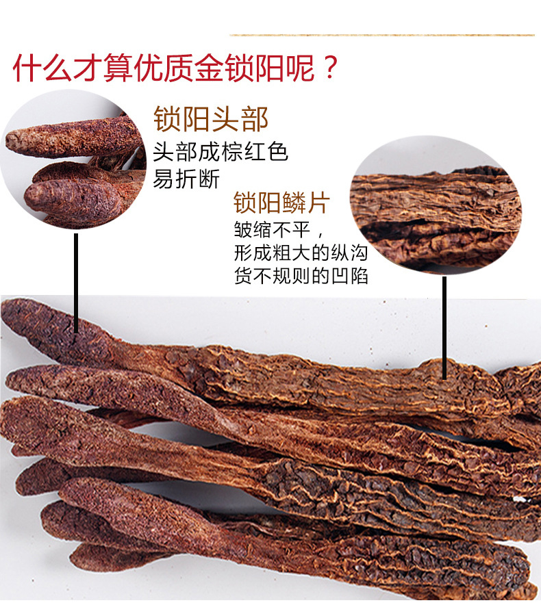 Cynomorium Songaricum Slices Suo Yang 500g Dried Herb for Tea Wine and Cooking specifications