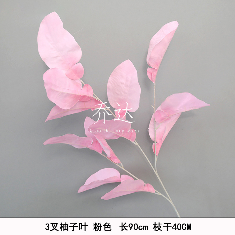 3 forks of grapefruit leaves