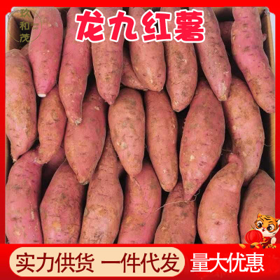 Лунцзю каштановый сладкий картофель 9 кг целая коробка маленький сладкий картофель 105 бесплатная доставка ферма желтое сердце сладкий картофель не арбуз красный происхождение прямая доставка