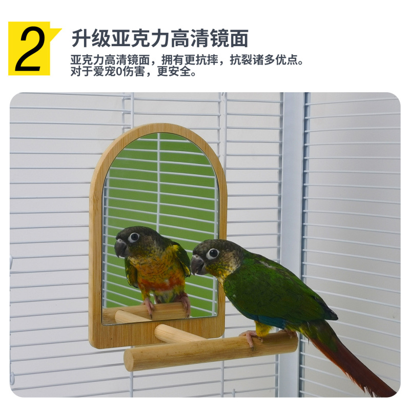 鸟用镜子站架鹦鹉楠竹挂笼镜虎皮牡丹玄凤竹木站杆鹦鹉用品|undefined