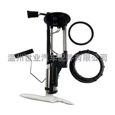 Source Factory Spot Fuel Pump Assembly 2208123 Is Suitable for Polaris 2018-20231000Uv (Oil pump, nozzle)