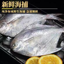 ryK~ƽ~K~̖rˮaK~rˮa