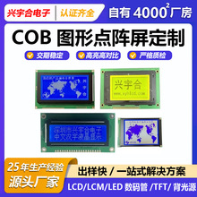 �c���12864LCD�@ʾ��19264Һ����ģ�K2002COB�ַ��D��FSTN�S��