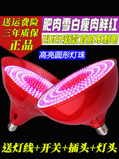 New led fresh light pork light super bright cold fresh meat seafood light braised meat deli special fruit chandelier