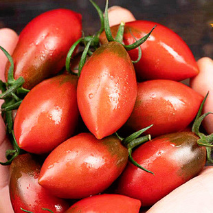 �����Ϗ��^�}Ů��С�������r�Fժˮ���߲˰��]С���t��һ�����l