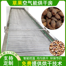 ĎݹəC ʽޢO ݹʲݹӸC