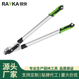 �J�������������֦���Ø�֦��@�ּ����������֦��֦