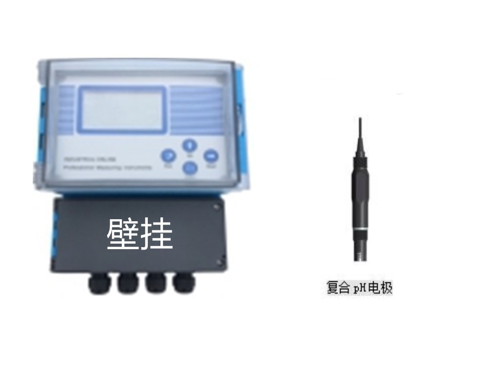 PH在线监测仪/在线PH检测仪 型号LX11/M326616 库号M326616