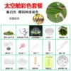 Space capsule color set (1 free feeding box)