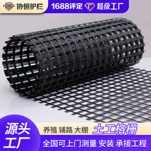 土工格栅围栏网玉米网抗老化聚乙烯塑料护栏网养殖围栏网