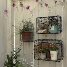 ���𻨈@�F�z�@�����ֹ������F�z���ռ{��ɫ���f��Ҏ�t�ռ{����