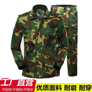 �Բʷ�܊Ӗ��ȫ�׺����Բ�T���w�ܷ�������Ӎ�ڱ�����W��܊Ӗ��