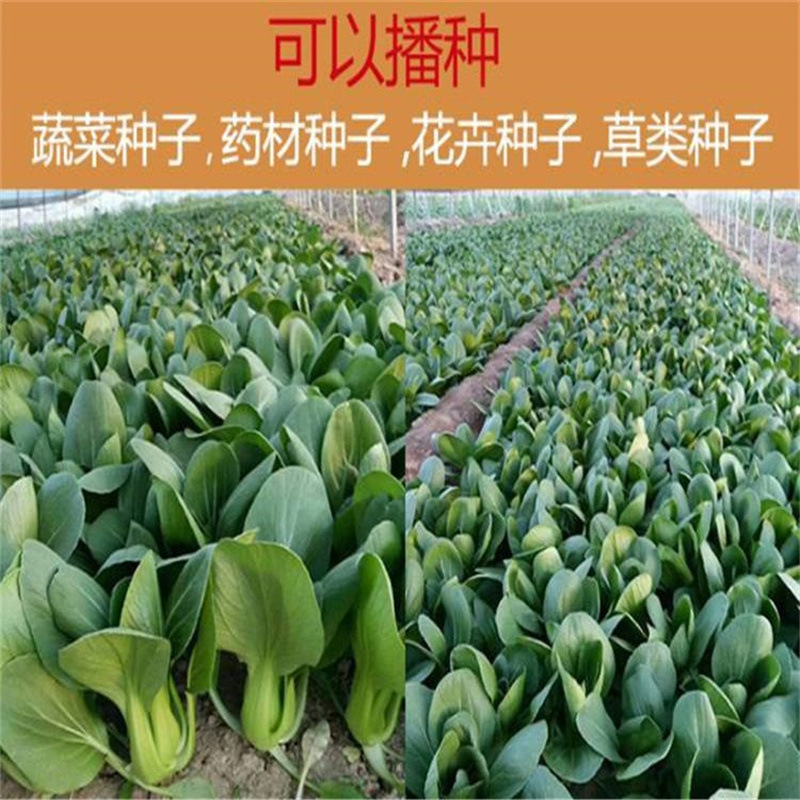 蔬菜播种机