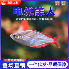 늹����˄��������~�Ꭷ�~�^�p�~ʯ�����~���ֲݸ�Ⱥ���~���w�^�p