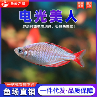 늹����˄��������~�Ꭷ�~�^�p�~ʯ�����~���ֲݸ�Ⱥ���~���w�^�p