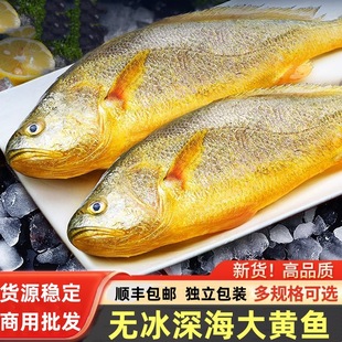 �o�����S�~���l���S�~���r�ك��������b�o���´��S���~��S���]