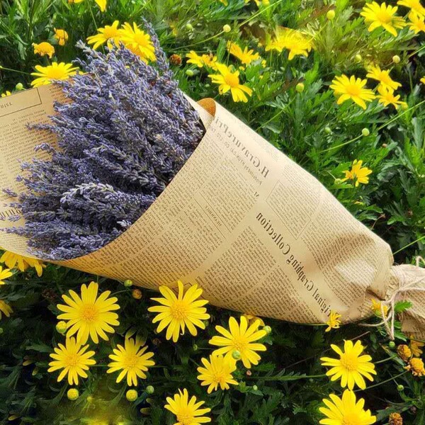Xinjiang Yili Lavender Bouncing Lavender Drinking Flower Shop Flower…